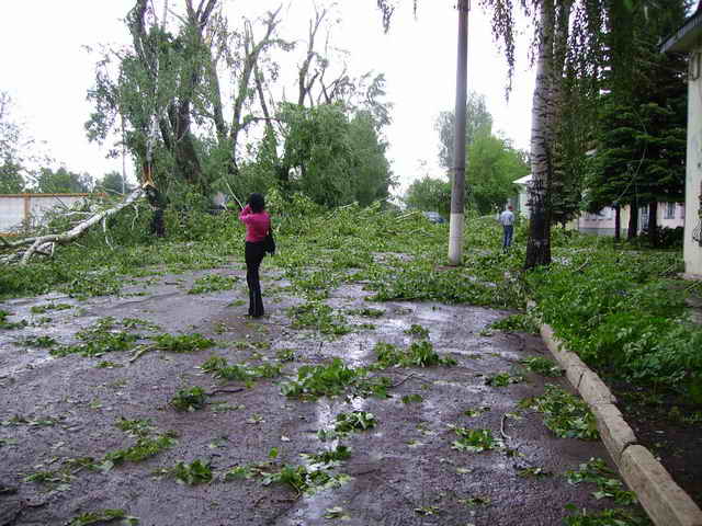 Дорога после урагана